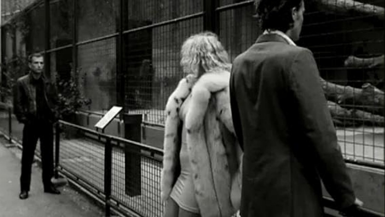 Venus in Furs