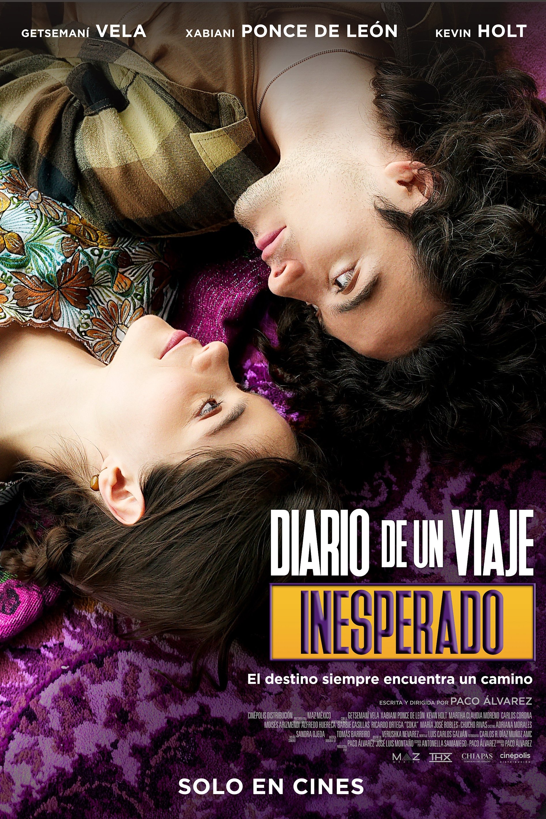 Diary of an Unexpected Journey poster