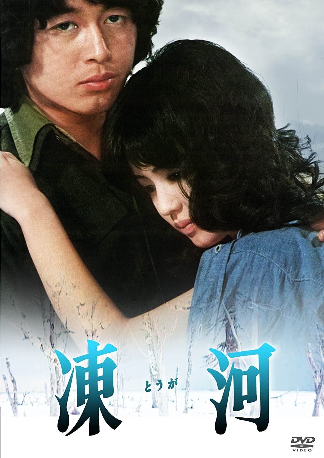 Frozen River poster