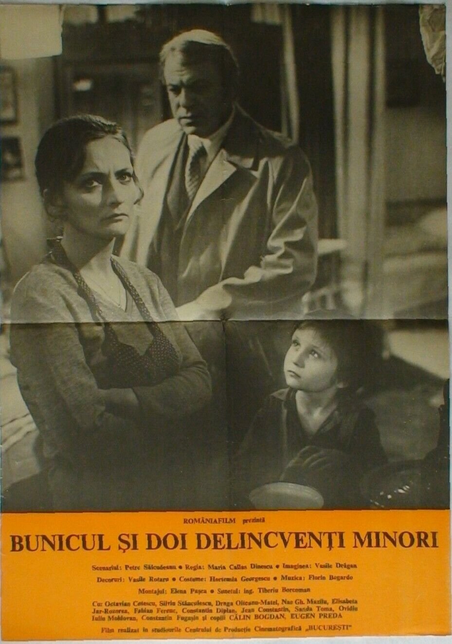 Grandpa and Two Young Offenders poster