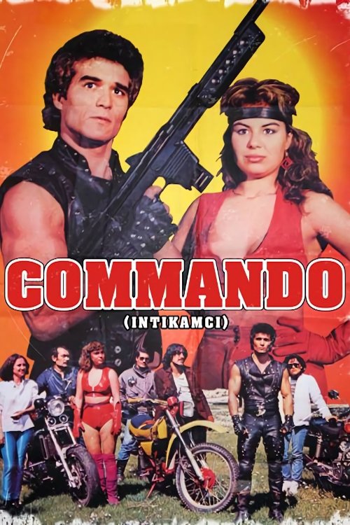 İntikamcı poster