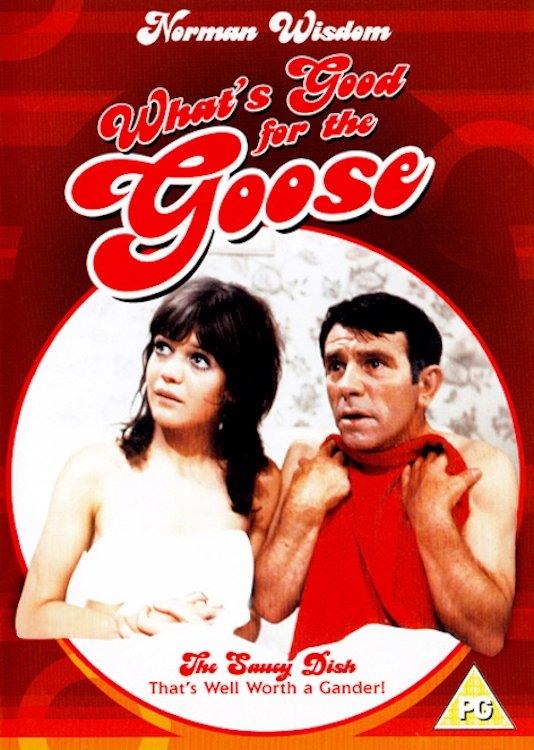 What's Good for the Goose poster